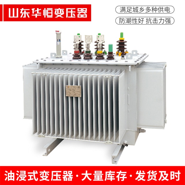 S13-10000/35洛南洛南洛南电力变压器